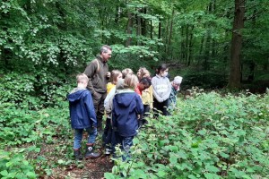 Waldausflug in die Mansholter Büsche